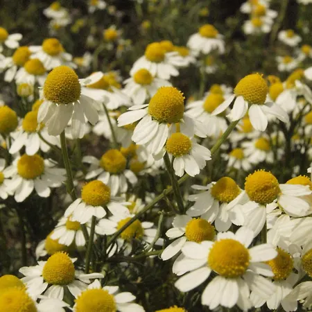 Apartment Spitaki γραφείο