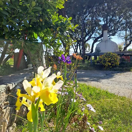 Spitaki γραφείο Apartment