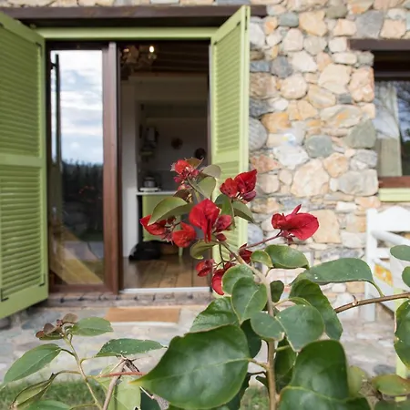 Apartment Spitaki γραφείο Velika (Thessaly)