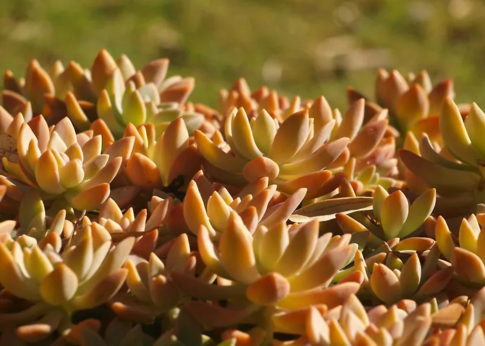 Apartament Spitaki γραφείο *